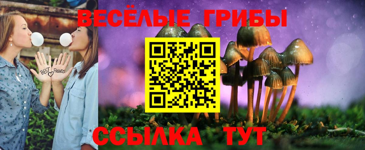Галлюциногенные грибы мицелий Кировск