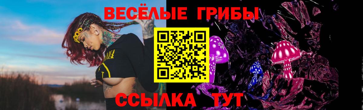 Псилоцибиновые грибы Magic Shrooms  Вход с VPN  Кировск 